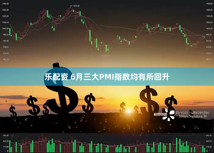 乐配资 6月三大PMI指数均有所回升